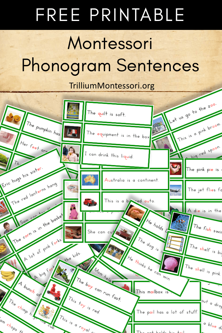 Montessori Free Printable Cards Printable Free Templates