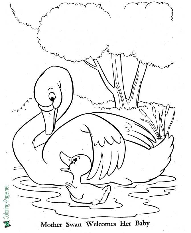 Duckling Coloring Page