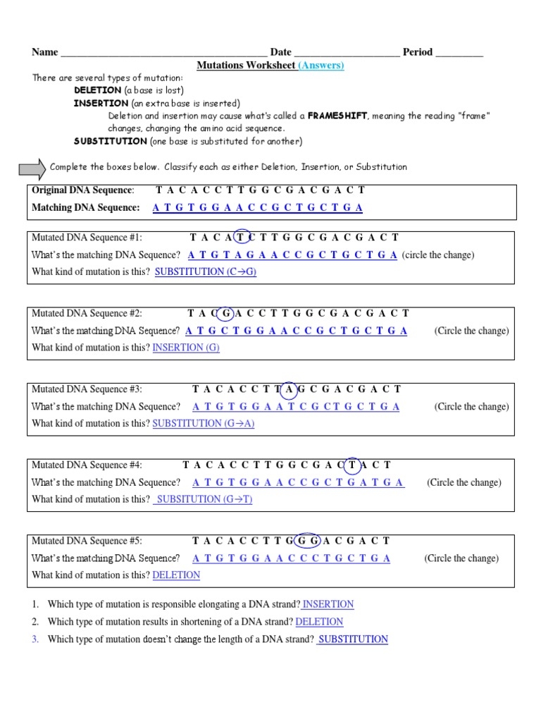 Name Date Period Mutations Worksheet PDF Point Mutation 