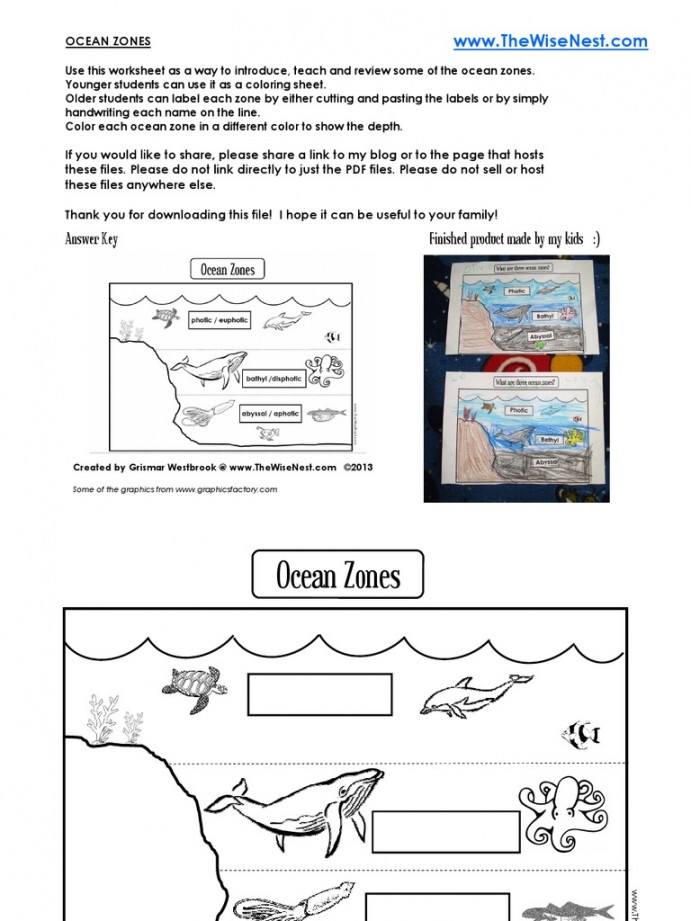 Ocean Zones Worksheet Pdf Martin Lindelof