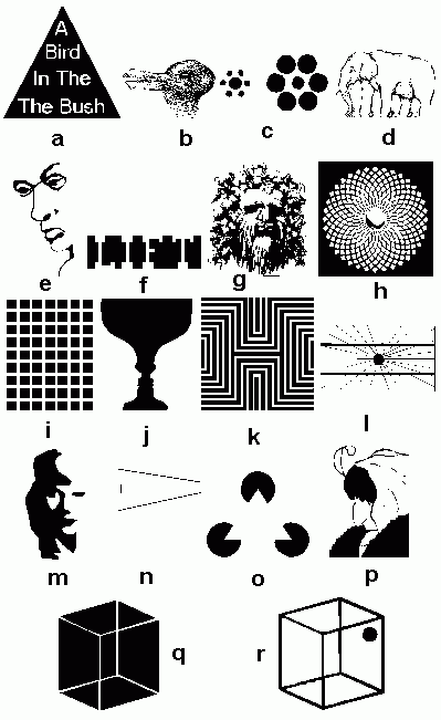 Optical Illusions Teaching Ideas Worksheets Library