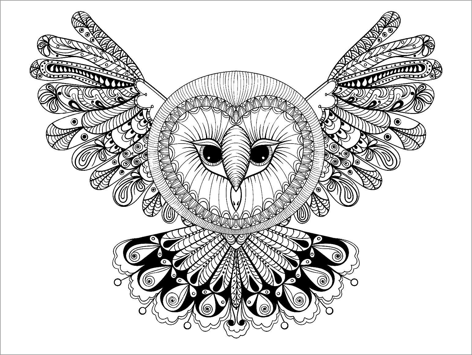 Owl Coloring Page For Adult ColoringBay