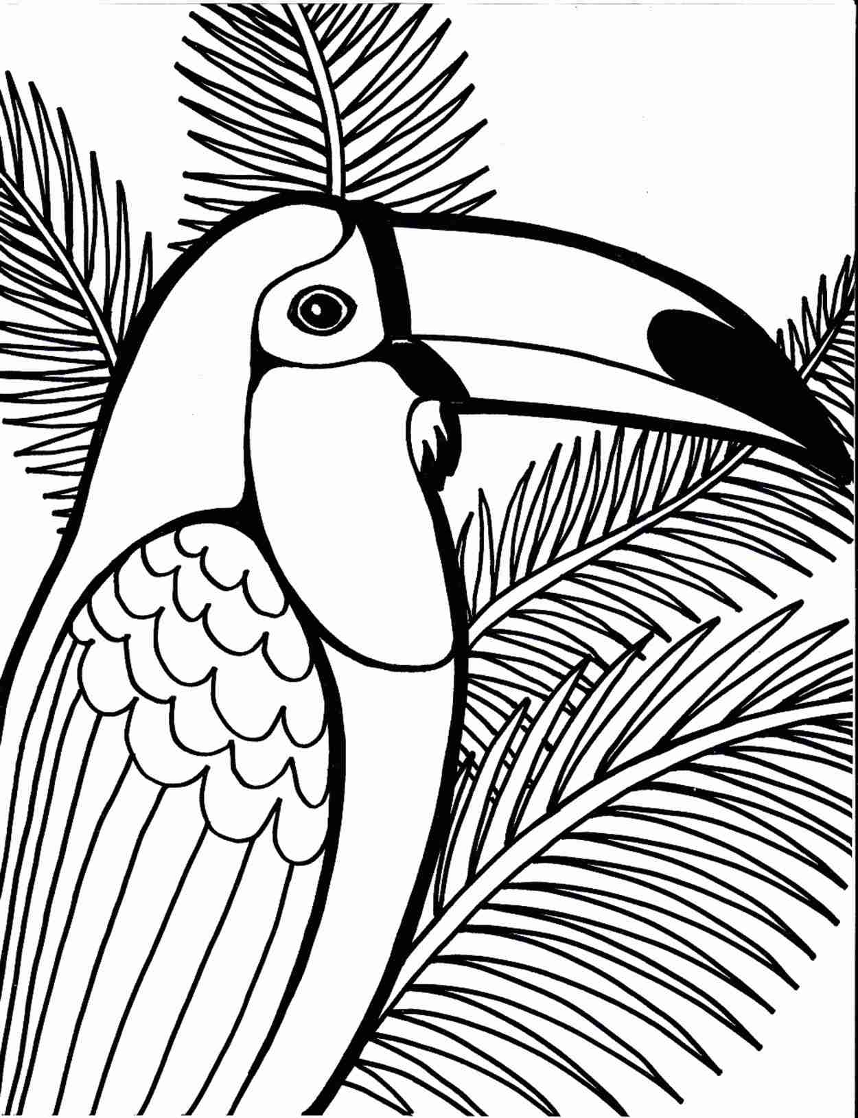 printable parrot picture