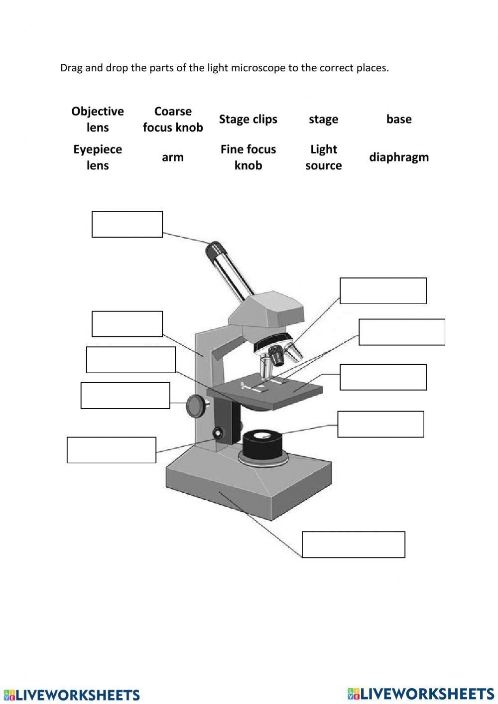 parts of a microscope worksheet