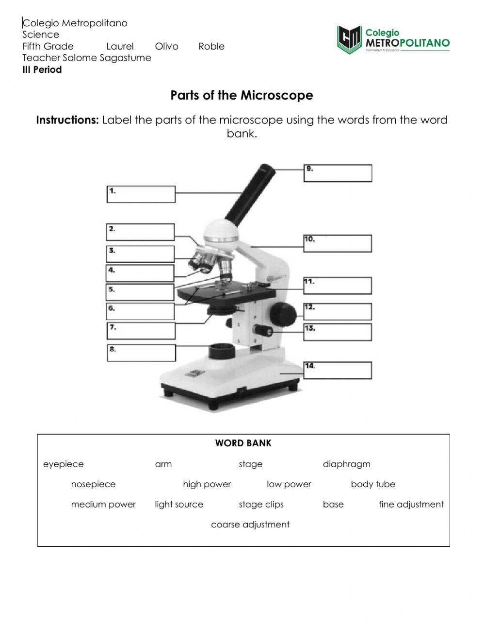 Parts Of The Microscope Worksheet Live Worksheets Worksheets Library
