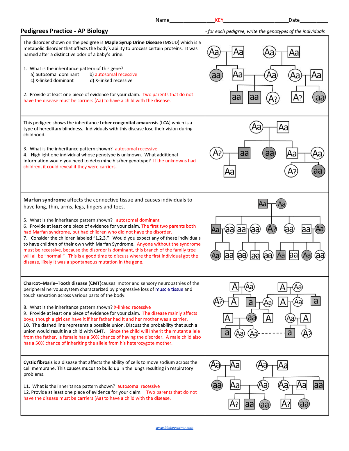 Pedigree Analysis APBiology KEY 1 Worksheets Library