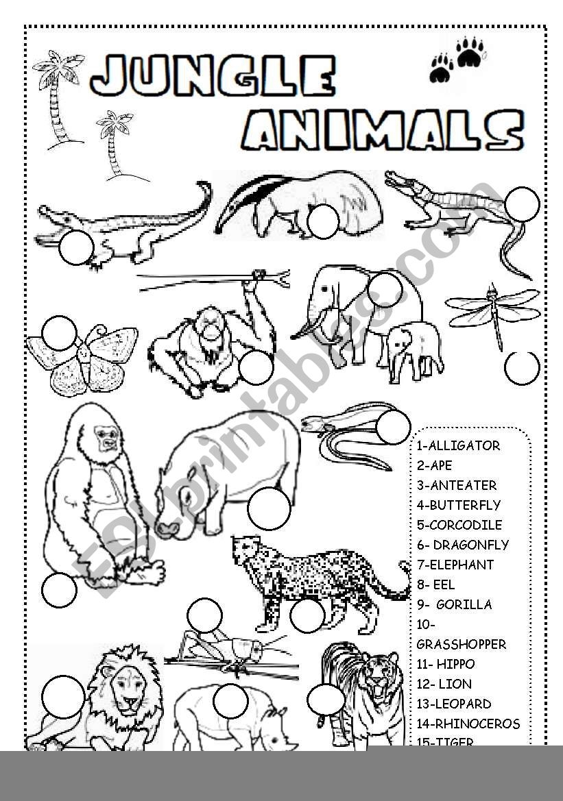 Preschool Jungle Worksheets Preschool Worksheets