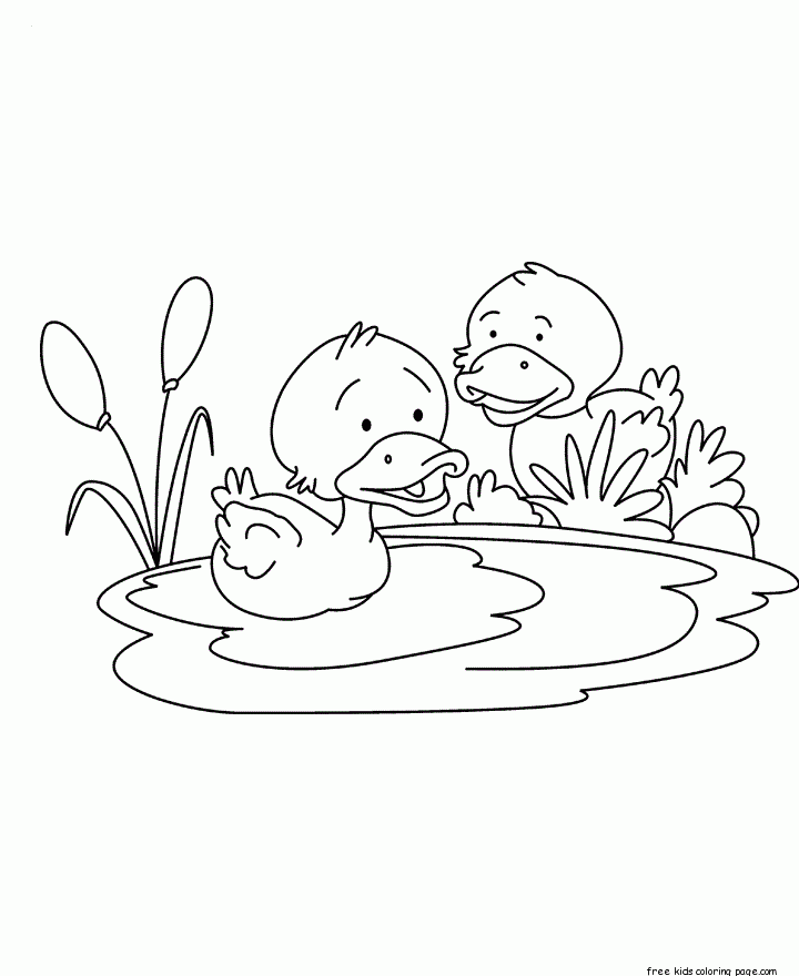 Printable Baby Duck Coloring Pages For Kids Free Kids Coloring Page