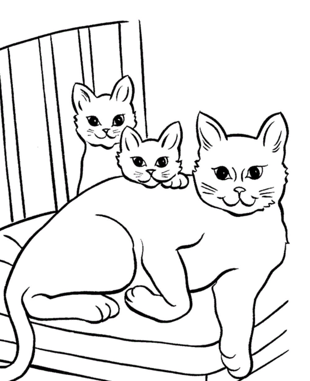 printable pictures of cats