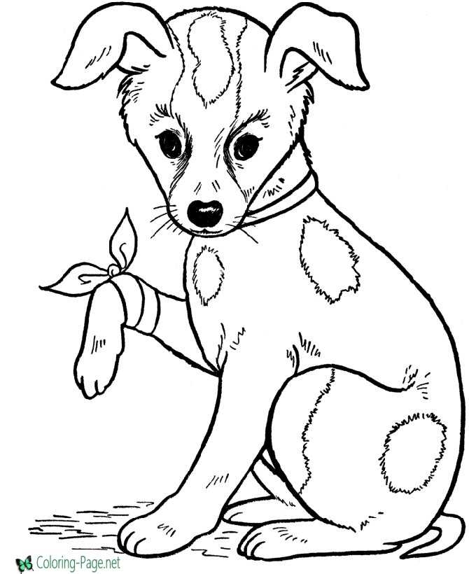 Printable Dog Coloring Pages