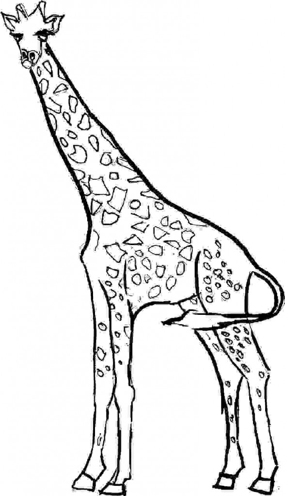 Printable Giraffe Coloring Pages