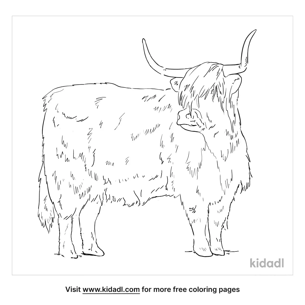 printable coloring pages highland cow
