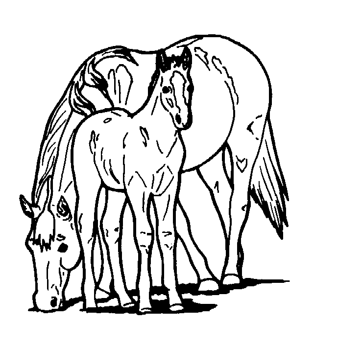 free printable horse cards