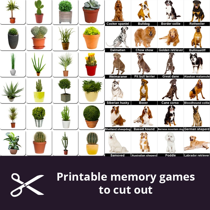 Printable Matching Games For Seniors Cut Out The Cards Memozor