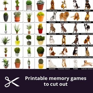 Printable Matching Games For Seniors Cut Out The Cards Memozor