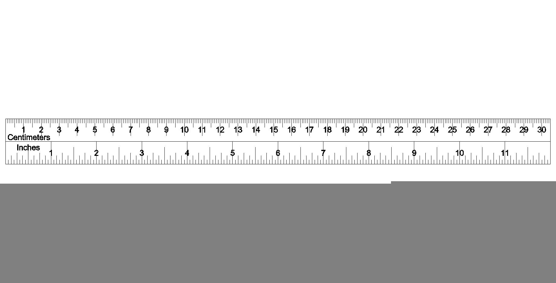 Printable Ruler Fish Scale Printable Ruler Actual Size