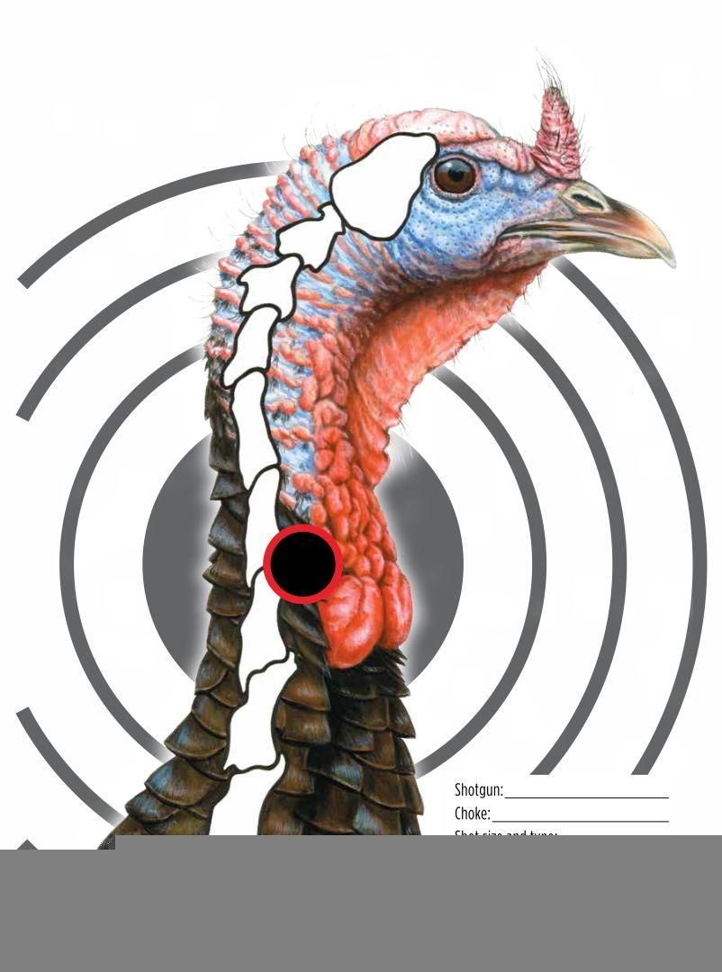 printable turkey picture