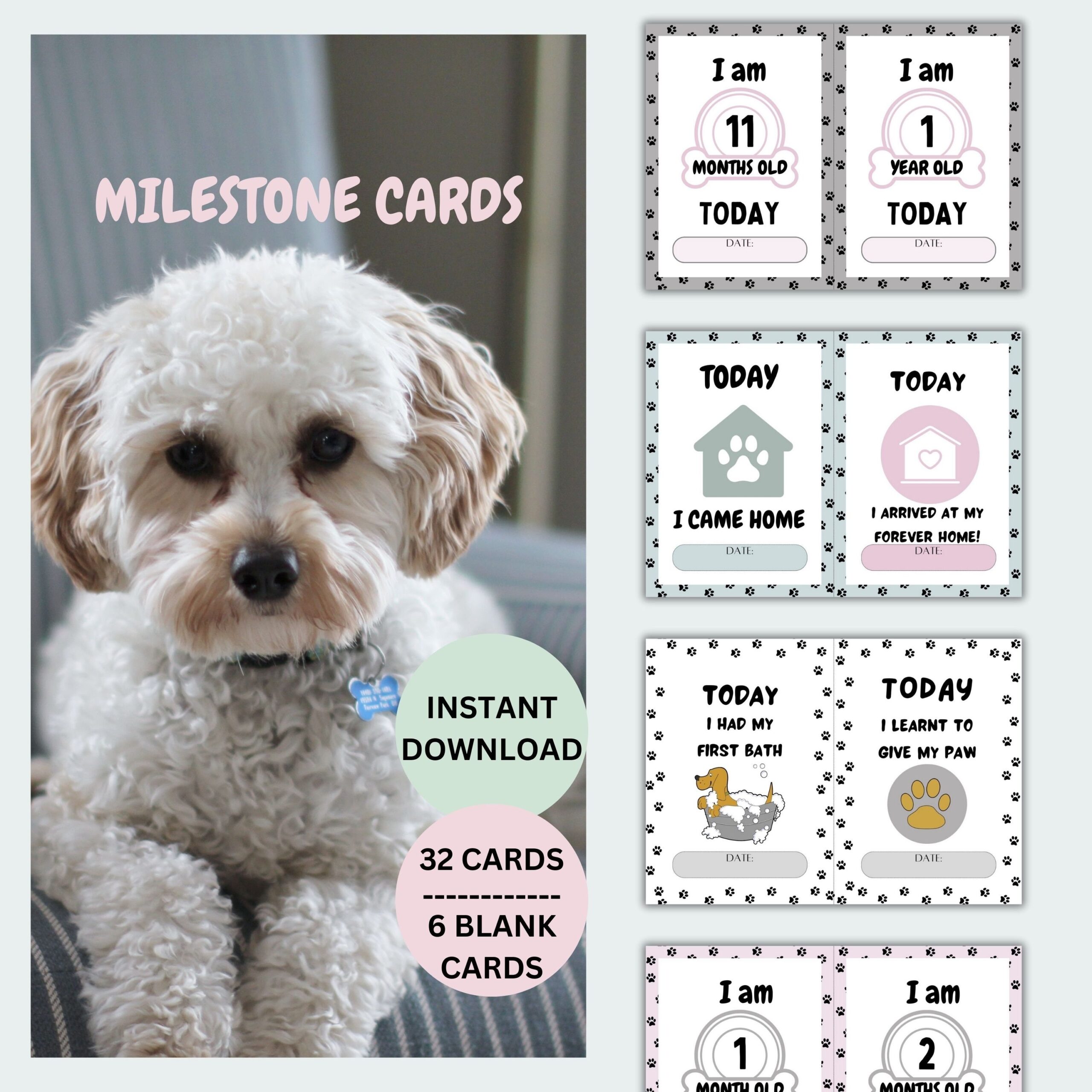 Puppy Milestone Cards Printable Pet Milestone Cards This Set Etsy