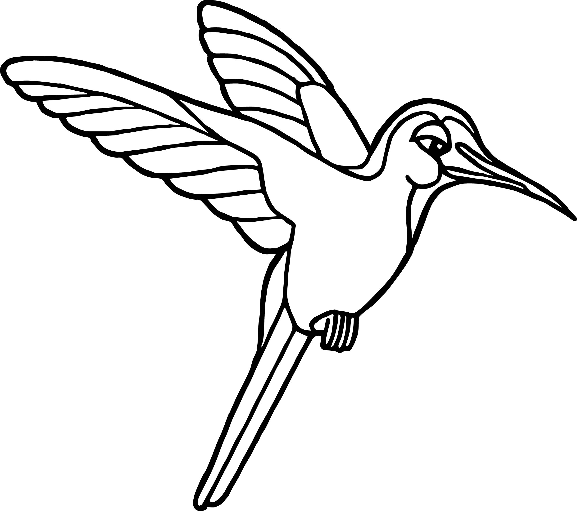 Hummingbird Coloring Page