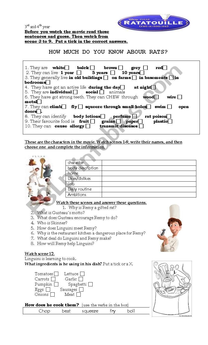 printable ratatouille worksheet