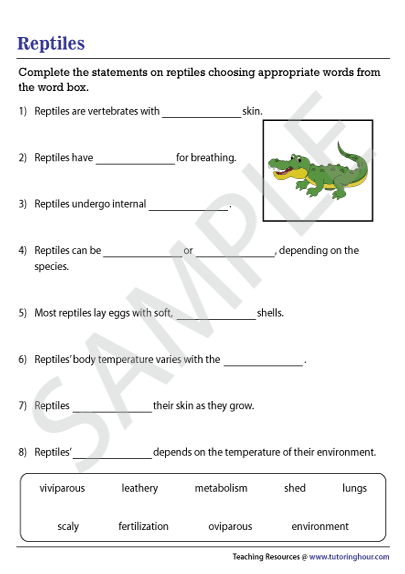 Reptiles Worksheet Worksheets Library