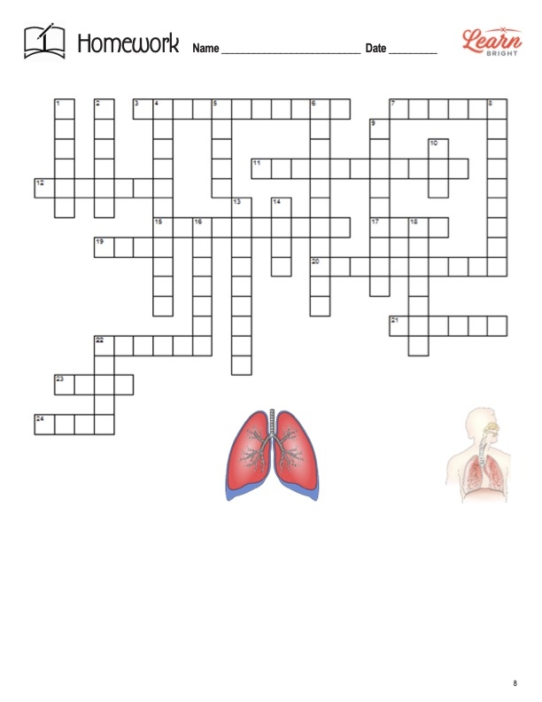 Respiratory System Worksheets Library