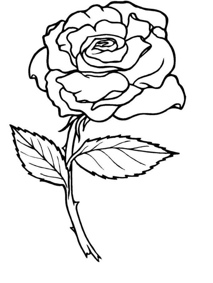 Rose Coloring Pages Printable Coloring Home