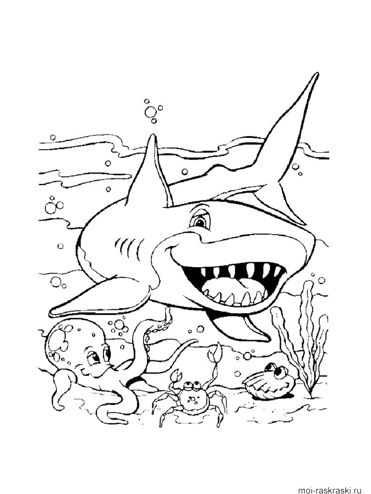 Sharks Coloring Pages Download And Print Sharks Coloring Pages