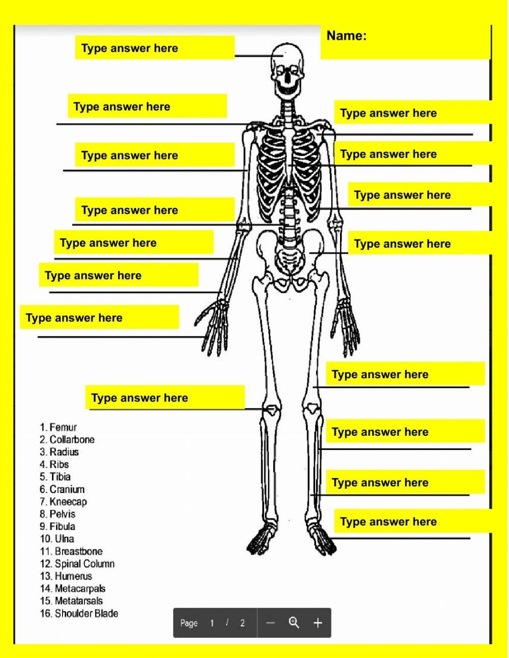 skeletal system worksheet