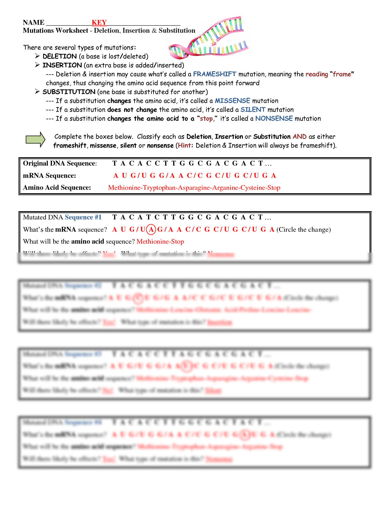 SOLUTION Dna Mutations Worksheet Key 1617 Studypool Worksheets Library