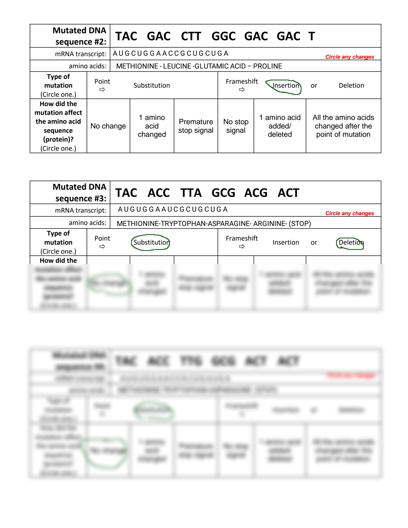 SOLUTION Genetic Mutations Practice Worksheet Studypool Worksheets 