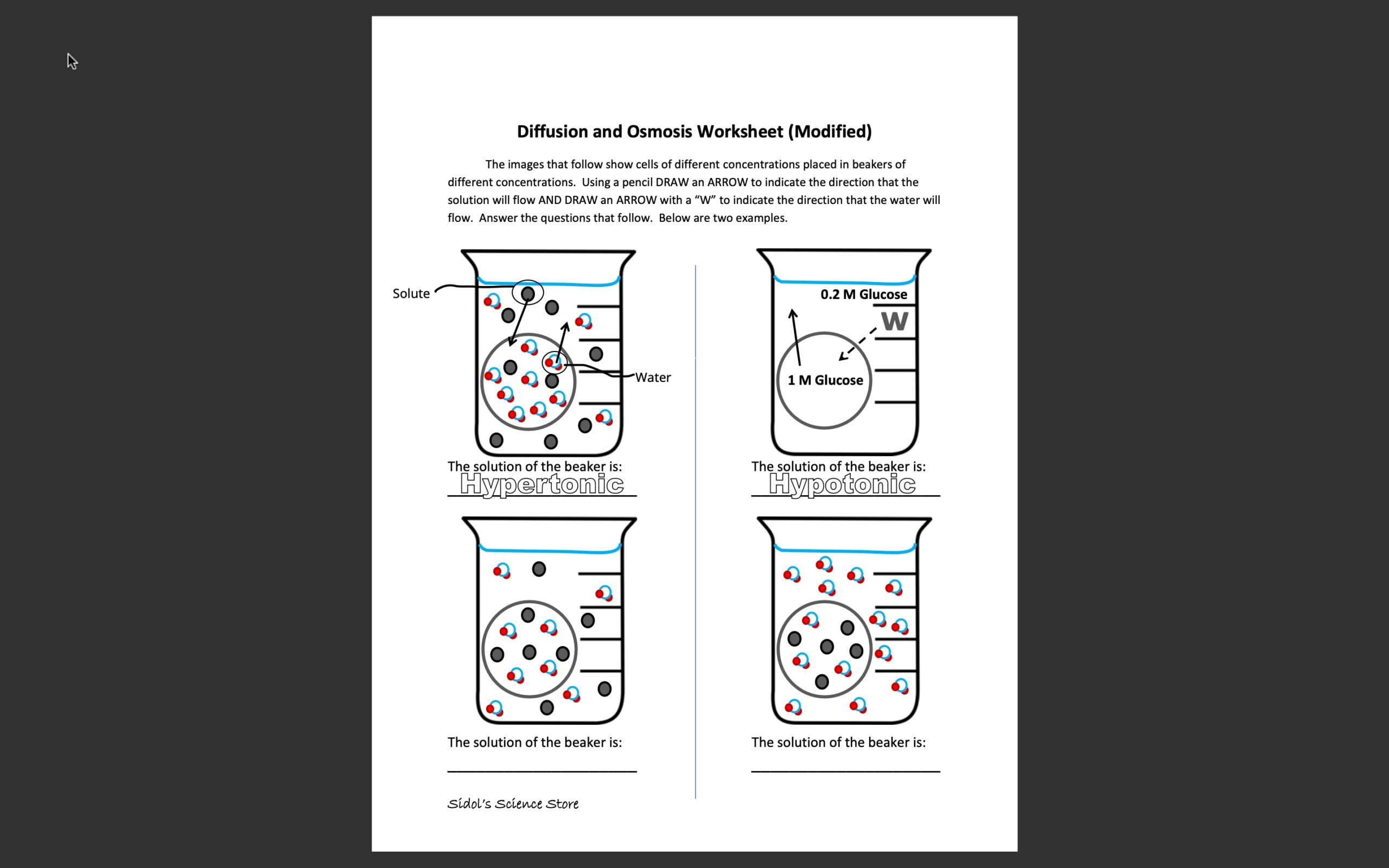 Solved Diffusion And Osmosis Worksheet Modified The Images 