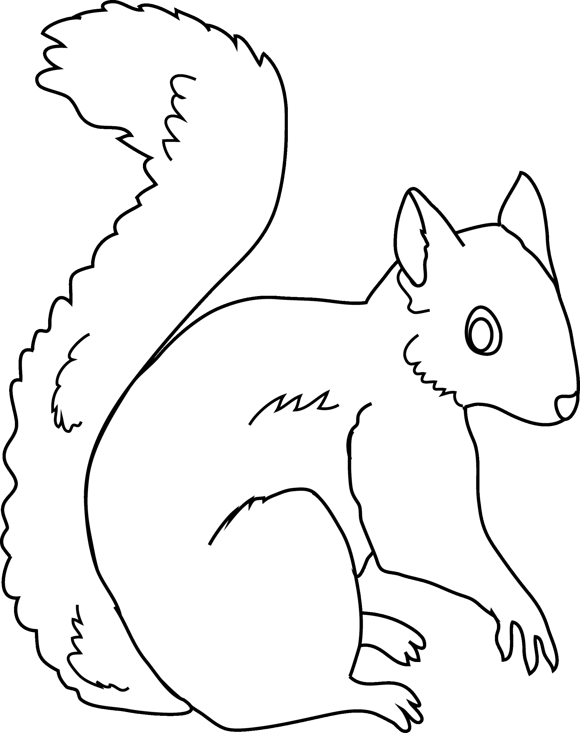 Squirrel Coloring Page