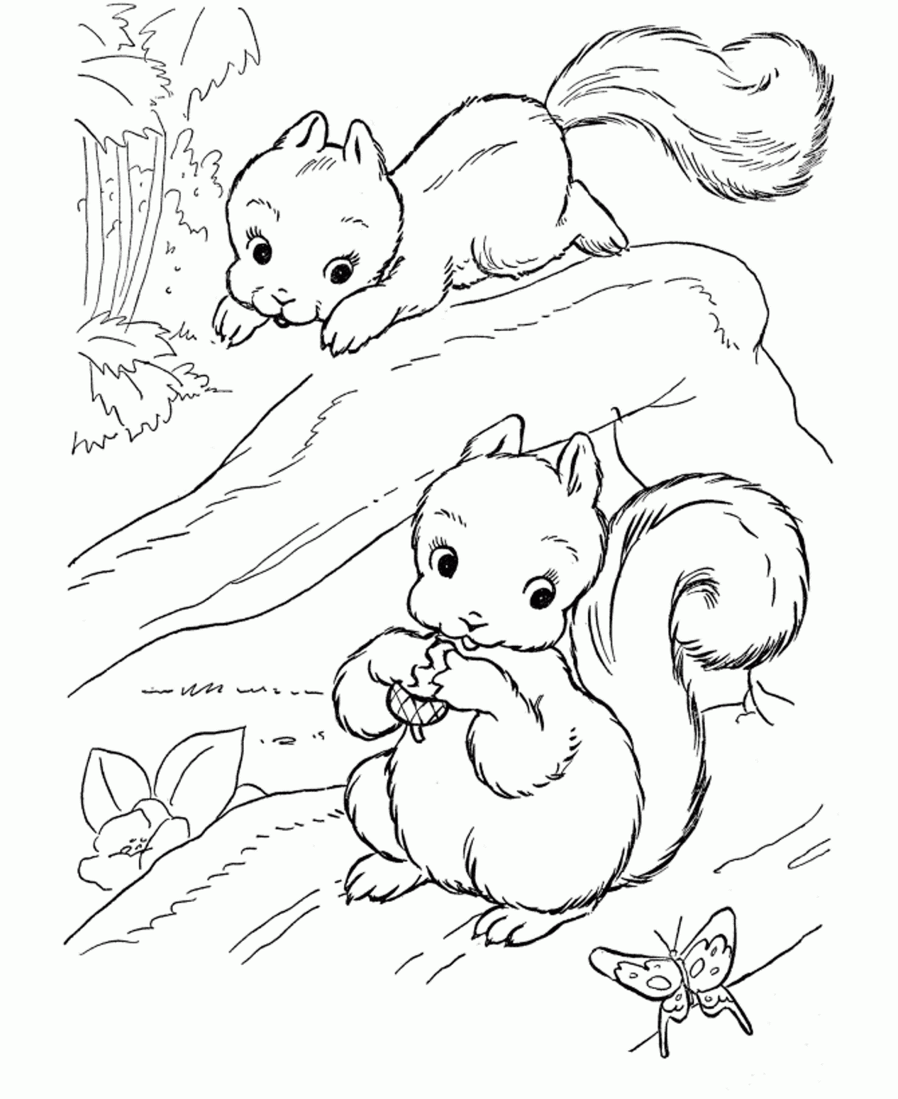 Coloring Pages Squirrel