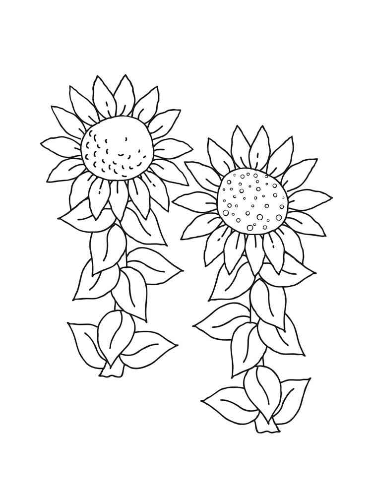 Sunflower Coloring Pages
