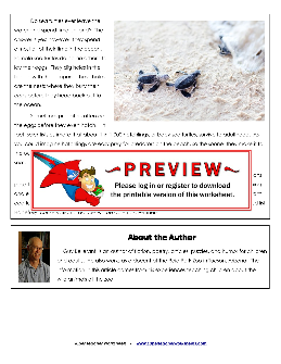 Super Teacher Worksheets Review Worksheets Library