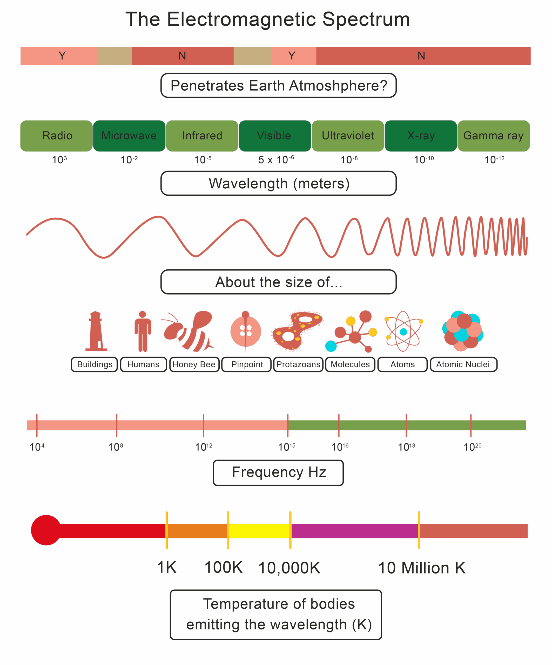 The Electromagnetic Spectrum Worksheet From EdPlace