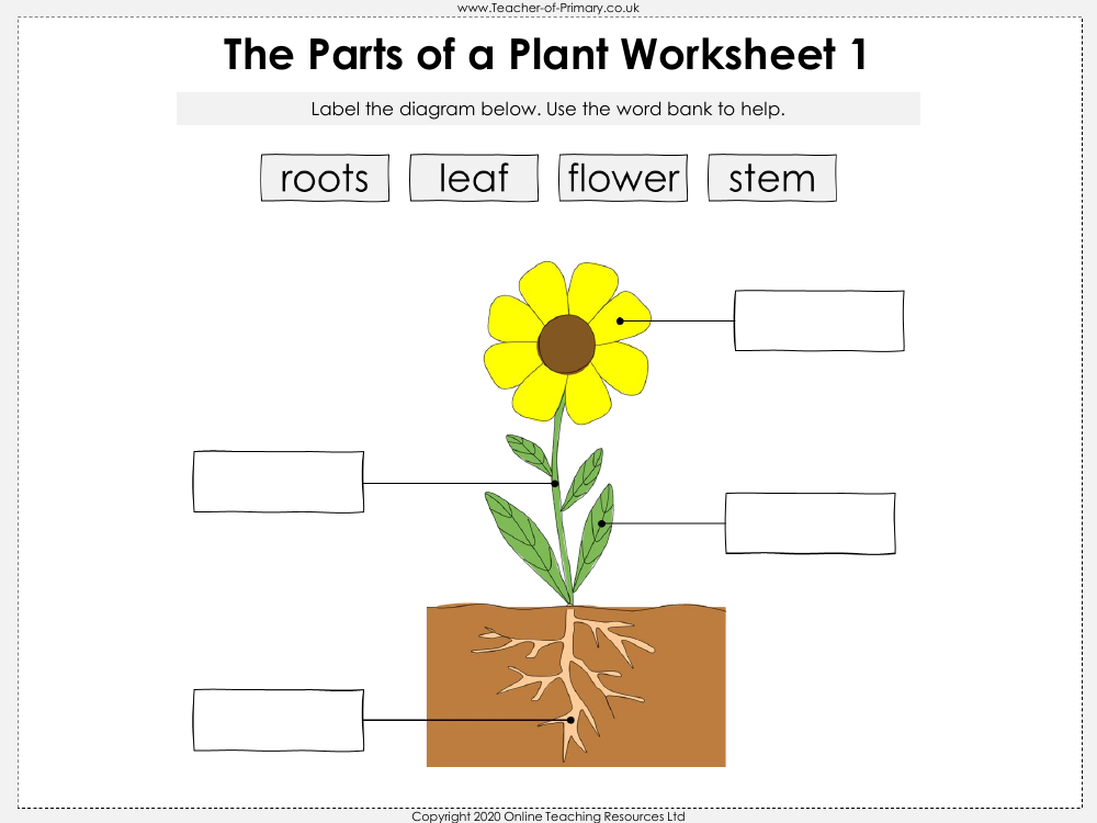 The Parts Of A Plant Worksheet Science Year 3 Worksheets Library