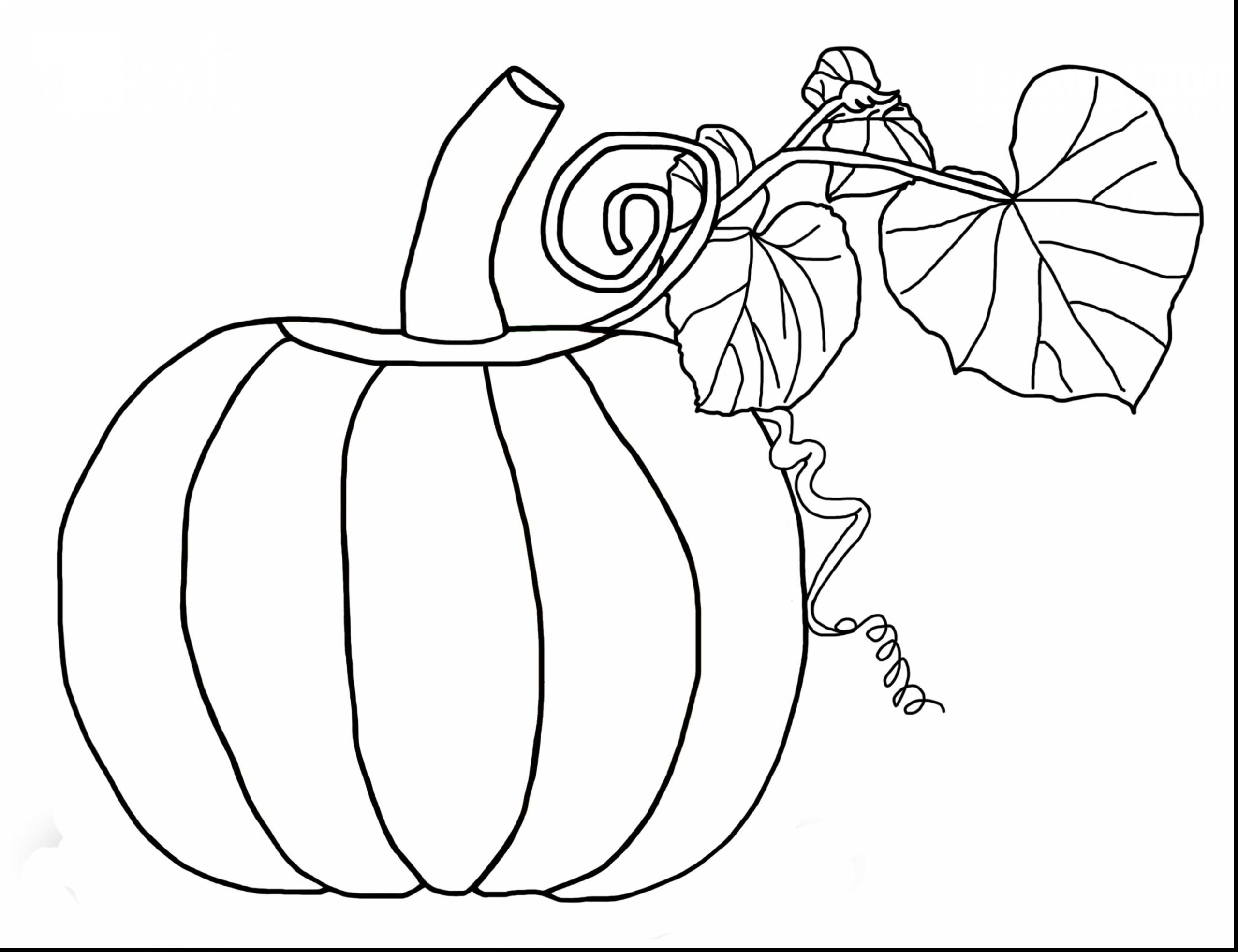Turn Picture Into Coloring Page