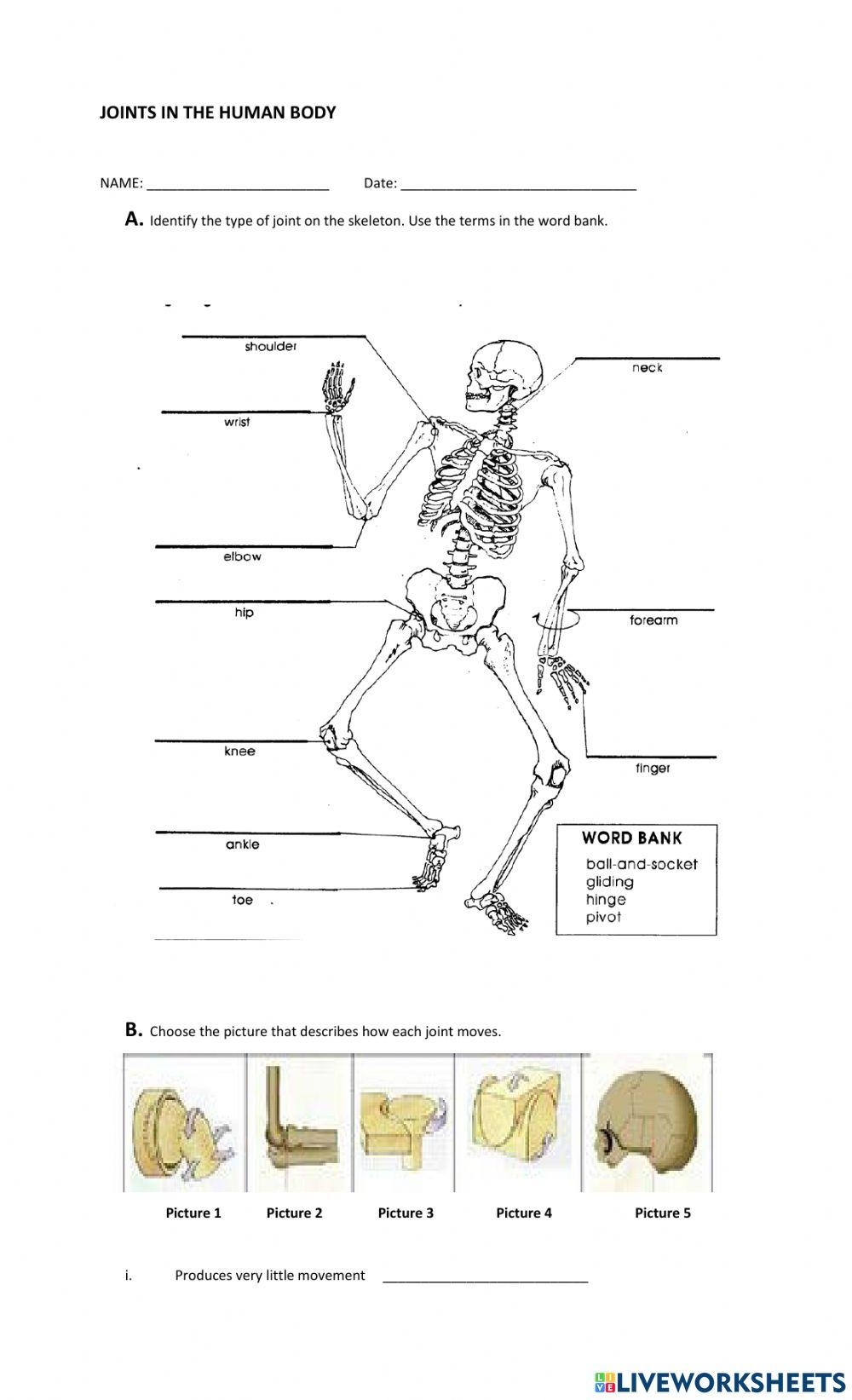 Types Of Joints Printable 6th 12th Grade TeacherVision 