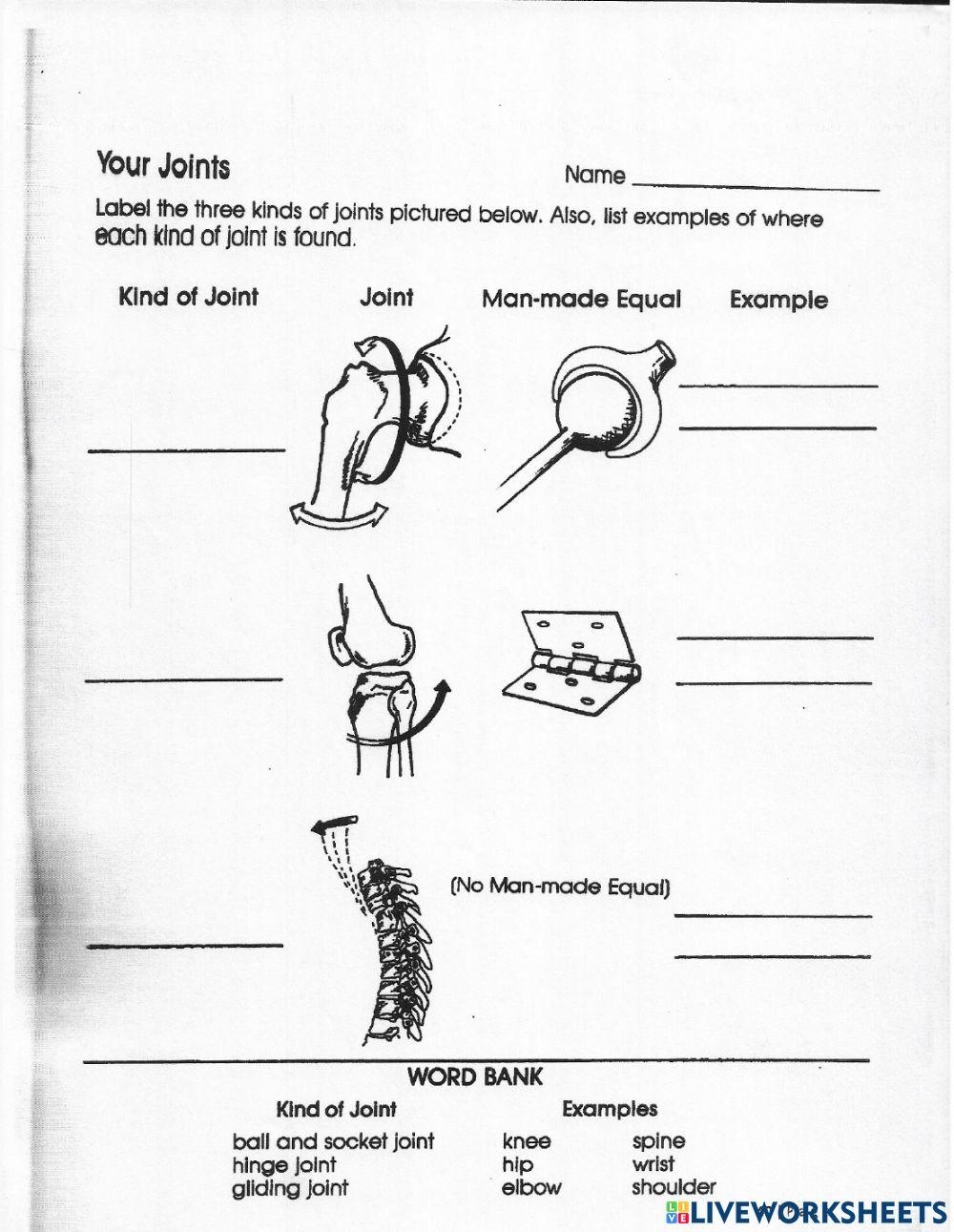 Types Of Joints Printable 6th 12th Grade TeacherVision