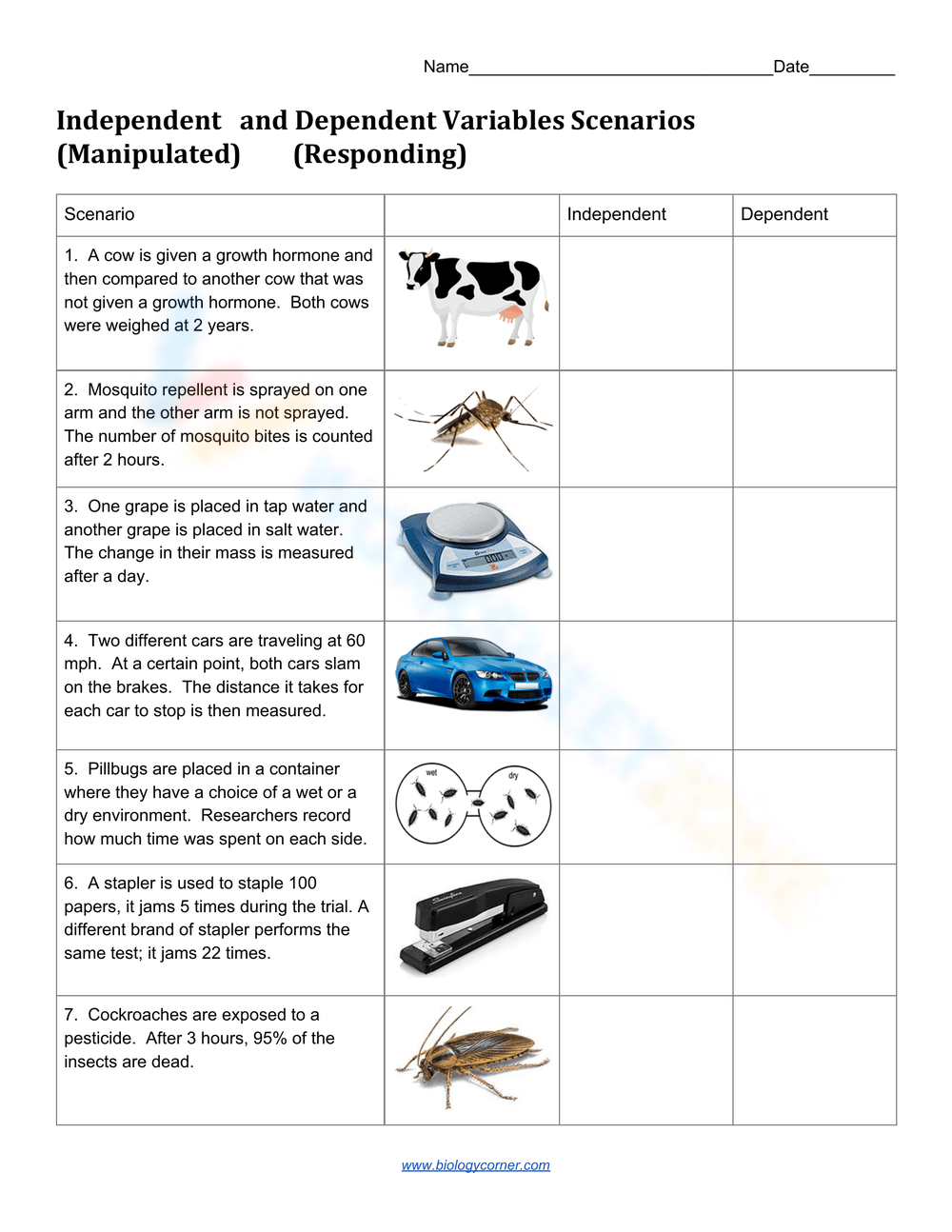 independent and dependent variables worksheet