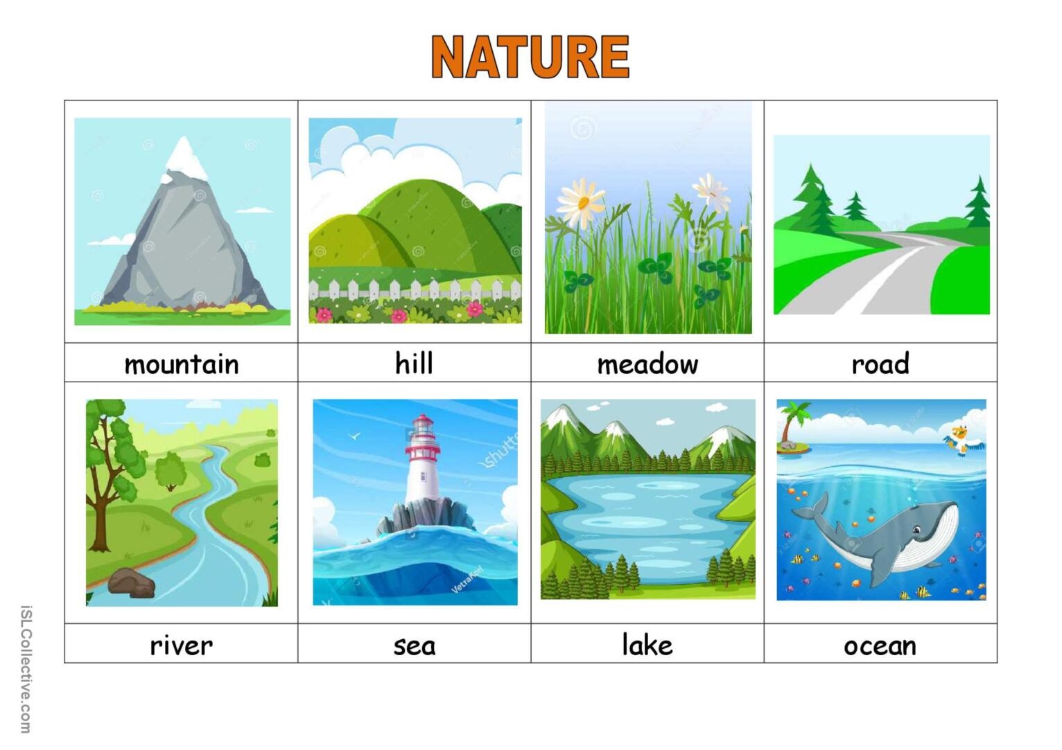 Vocabulary Worksheets For Esl