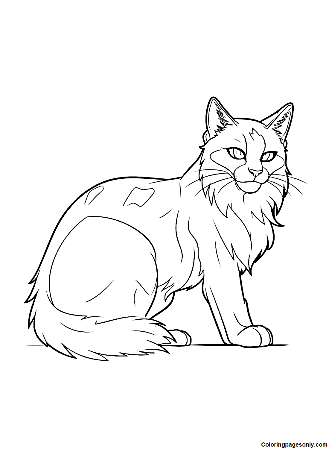 Cats Coloring Page
