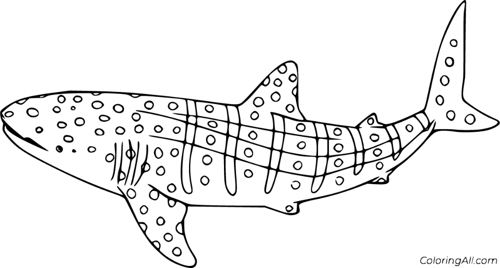 printable whale picture