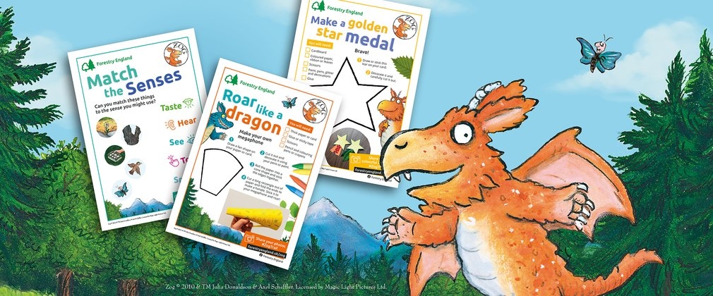 Zog Activity Sheets Forestry England Worksheets Library